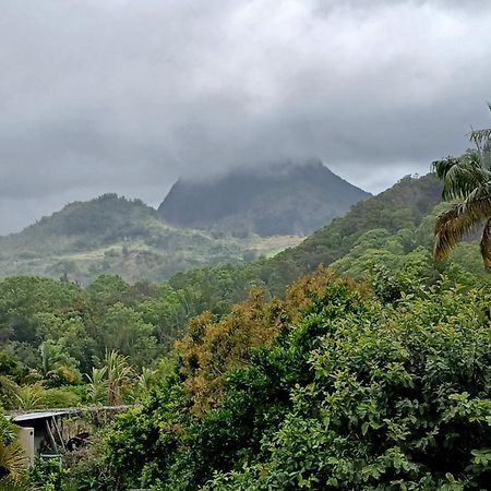 Horizon Des Pitons Apartment Salazie Exterior photo